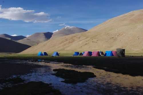 TREKKING IN LADAKH | CHANGTANG 2017